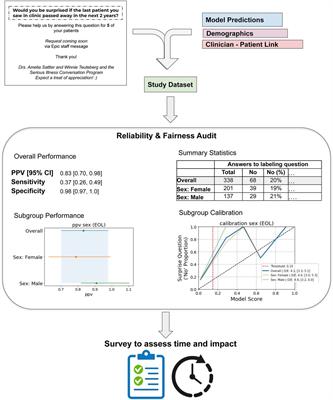 Considerations in the reliability and fairness audits of predictive models for advance care planning